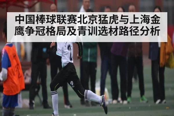 中国棒球联赛北京猛虎与上海金鹰争冠格局及青训选材路径分析